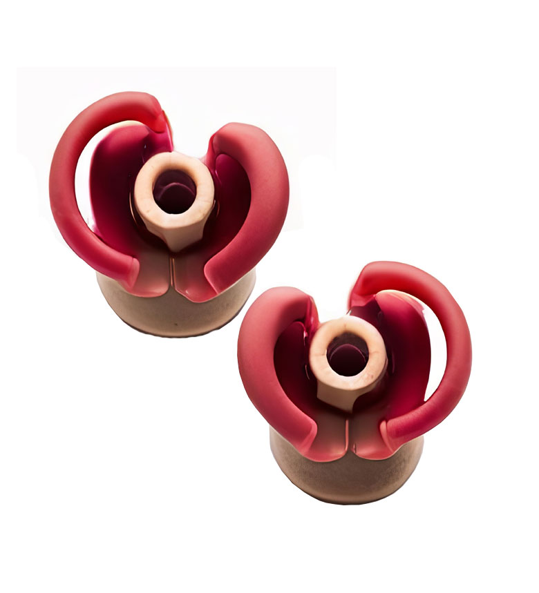 Custom Molded Ear Plugs